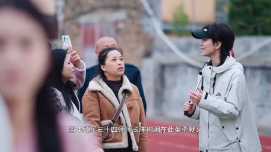 冬青树上果犹红(9集) 冬青树上果犹红(9集)短剧全集连看不停歇